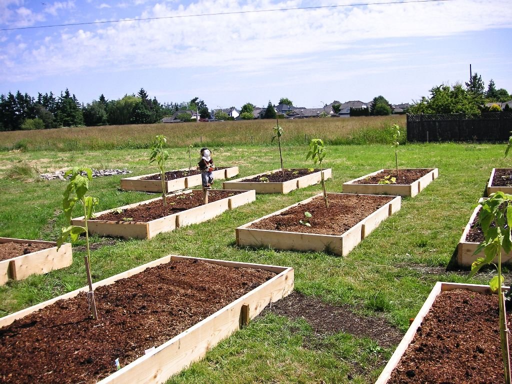 Different Soil Affect Microclimates