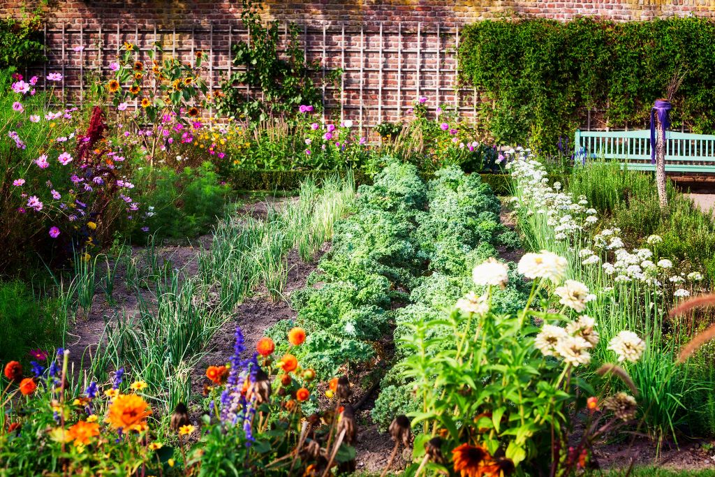 Do Plants Need Silicon in the Garden