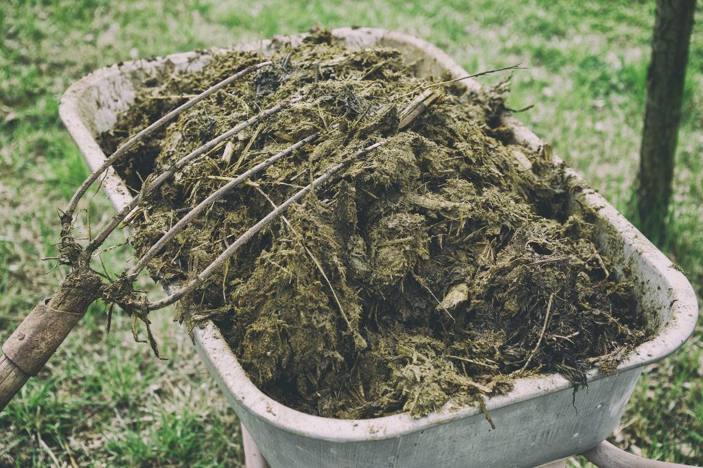 Tips for Using Manure in the Garden