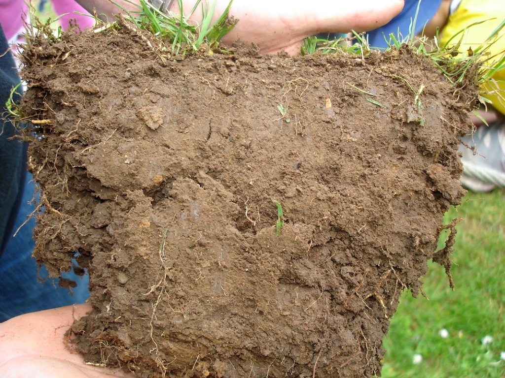 Why Is Soil Porosity Important?