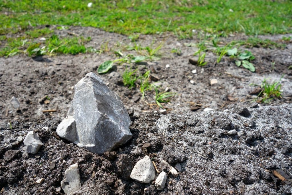 Garden in Rocky Soil