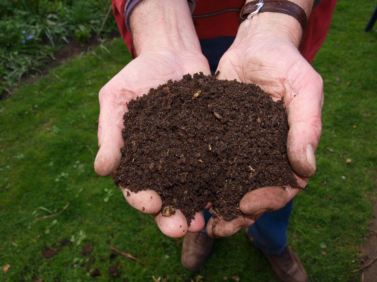How Compost Helps Your Soil
