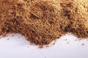 How To Use Coco Peat For Garden Plants & Seeds
