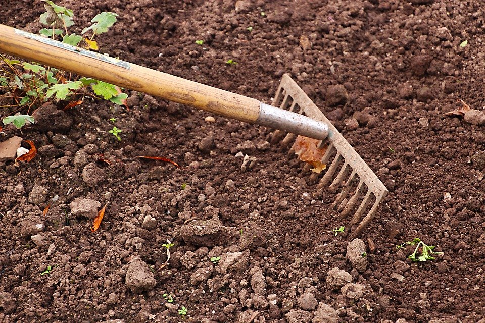 How to Garden in Rocky Soil