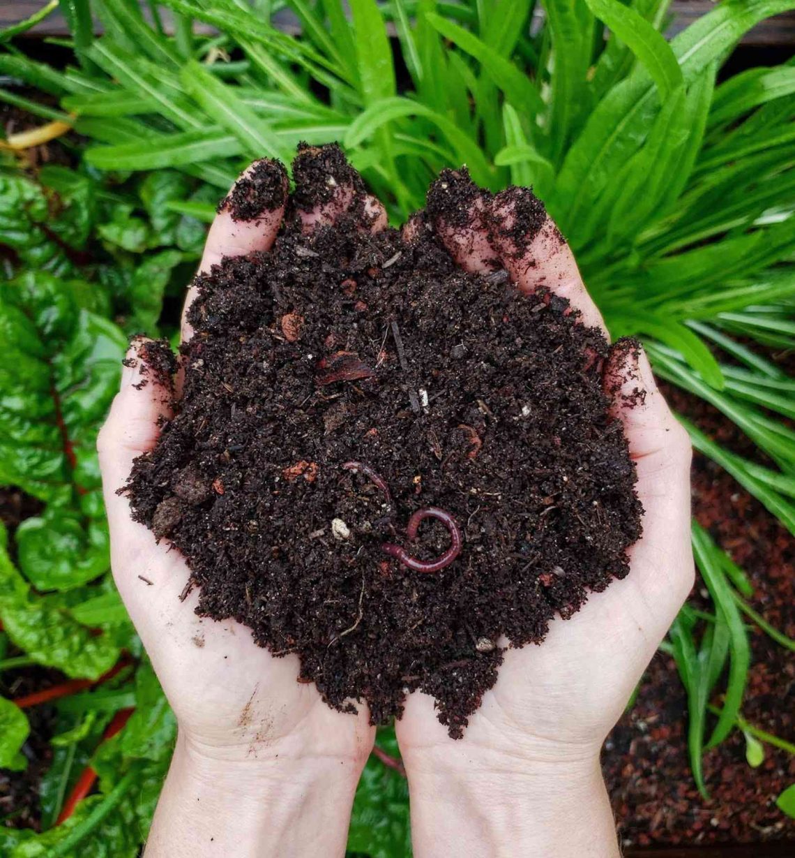How to Make a Good Compost