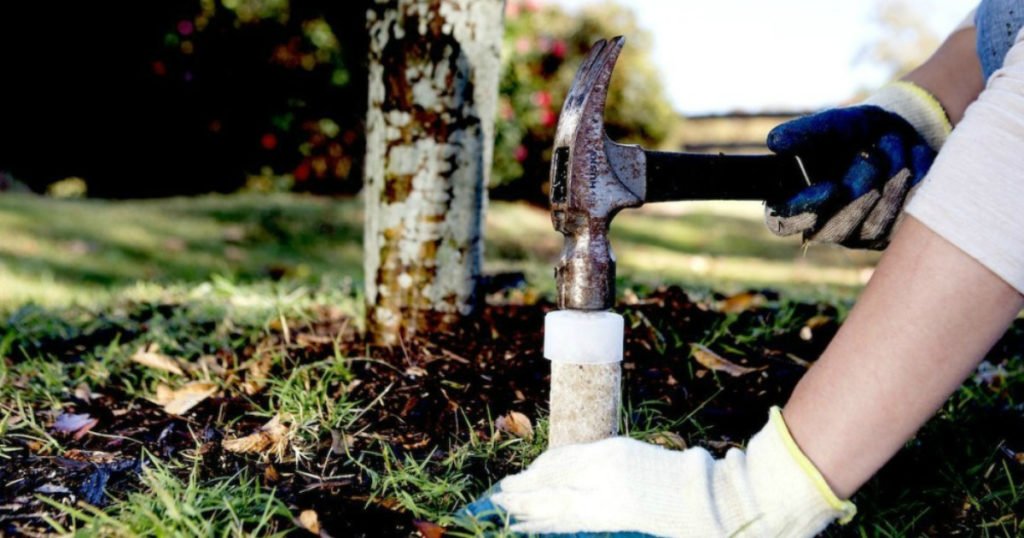 Do Fertilizer Spikes Work? Haute Life Hub