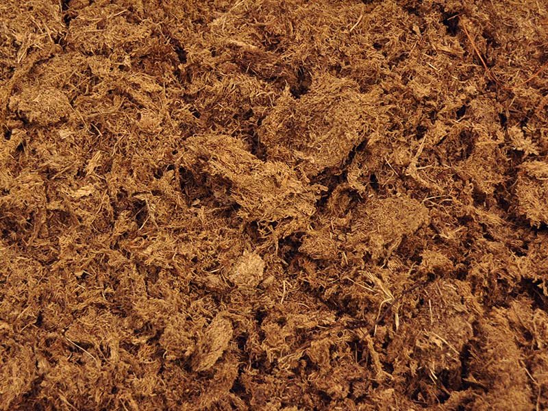 Peat Moss Alternatives