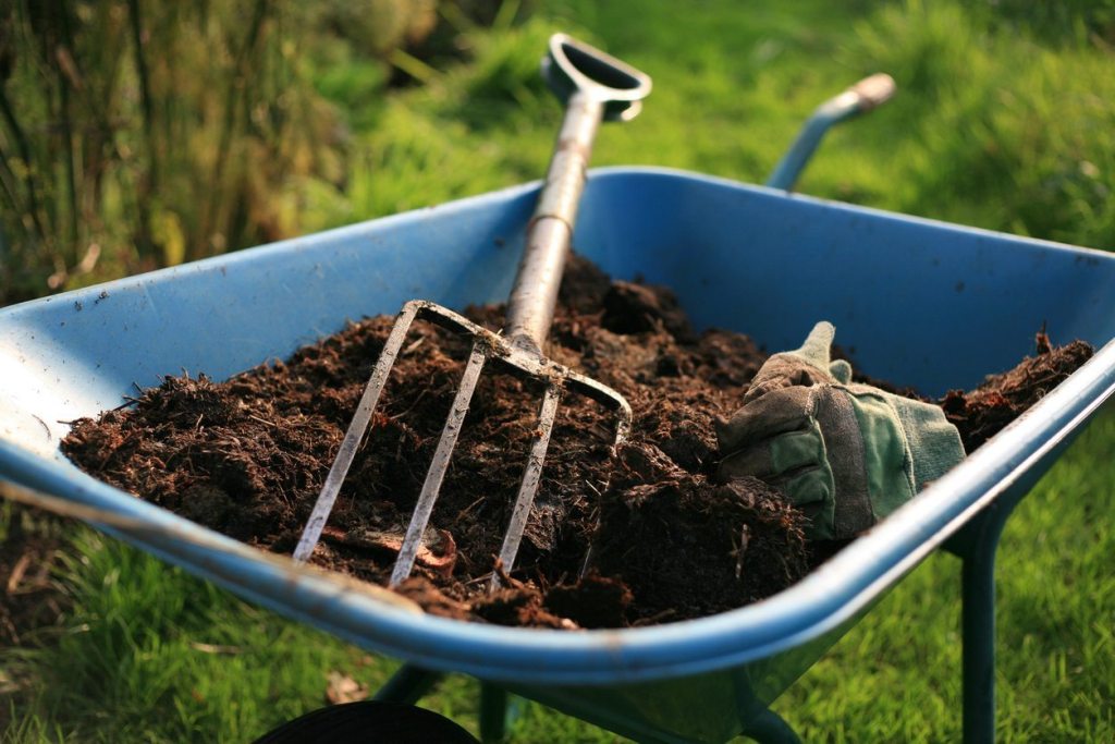 Soil Conditioner: Everything You Need to Know for a Healthy Garden