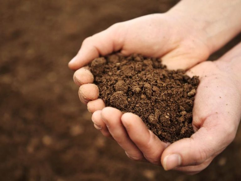 Soil Moisture Content Testing