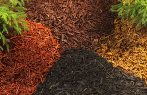Tips for Using Pine Fine Barks Soil Conditioner