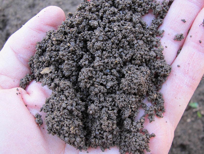 Why Is Soil Porosity Important?