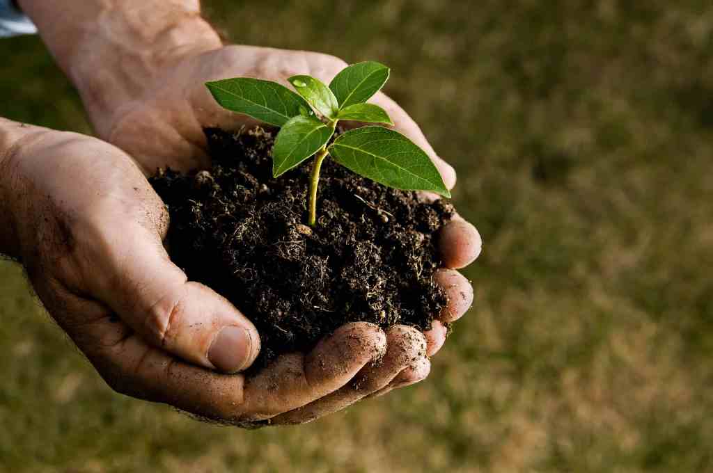 What is Soil Conditioner?