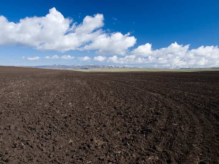 Effects of Soil Tilling in the Garden