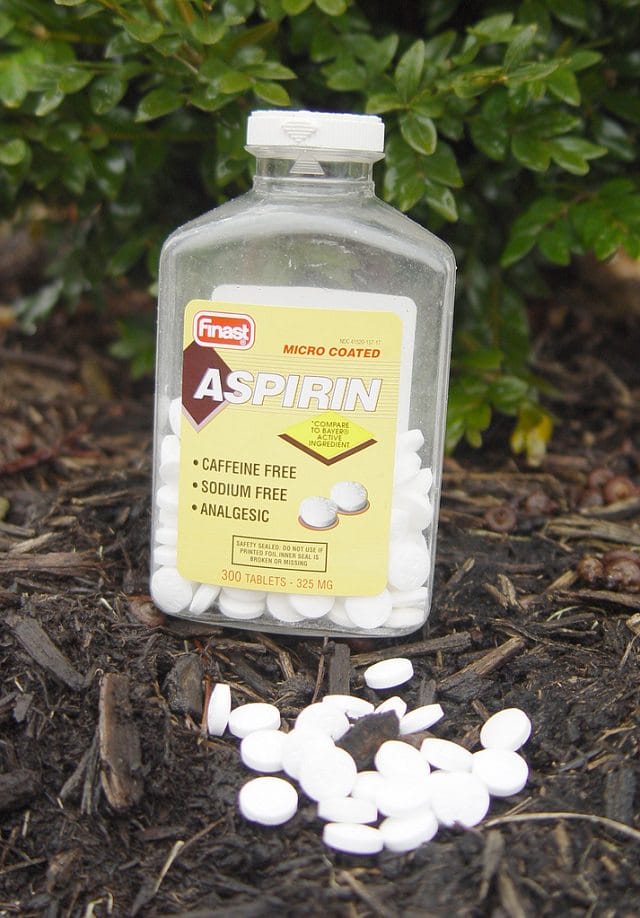 Benefits of Using Aspirin for Plant Growth