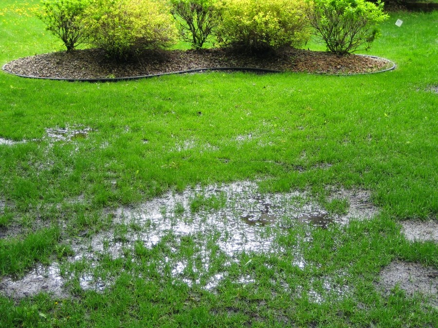 How To Correct Yard Drainage Problems