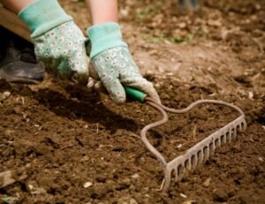 Effects of Soil Tilling in the Garden