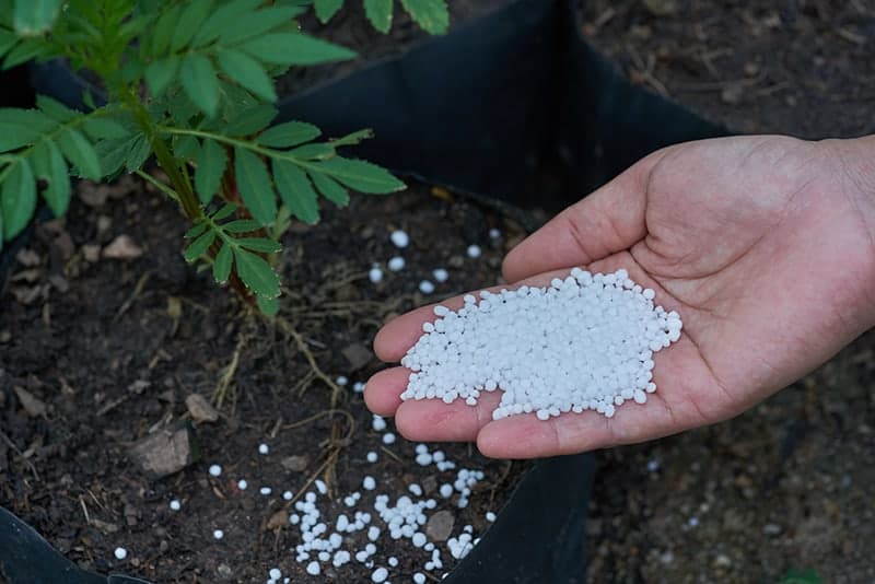 How to Apply Ammonium Nitrate as Fertilizer