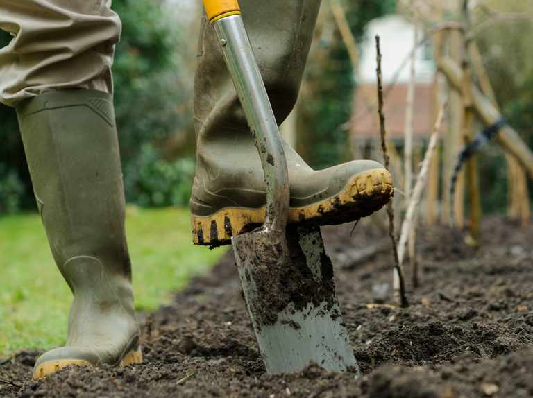 How Soil Compaction is Hurting Your Lawn