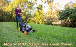 Mowox MNA152616 Gas Lawn Mower Review