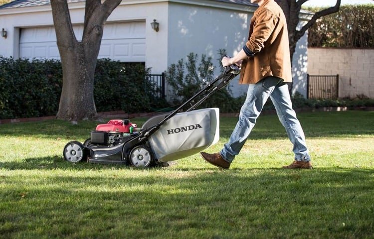 Best Self Propelled Lawn Mowers