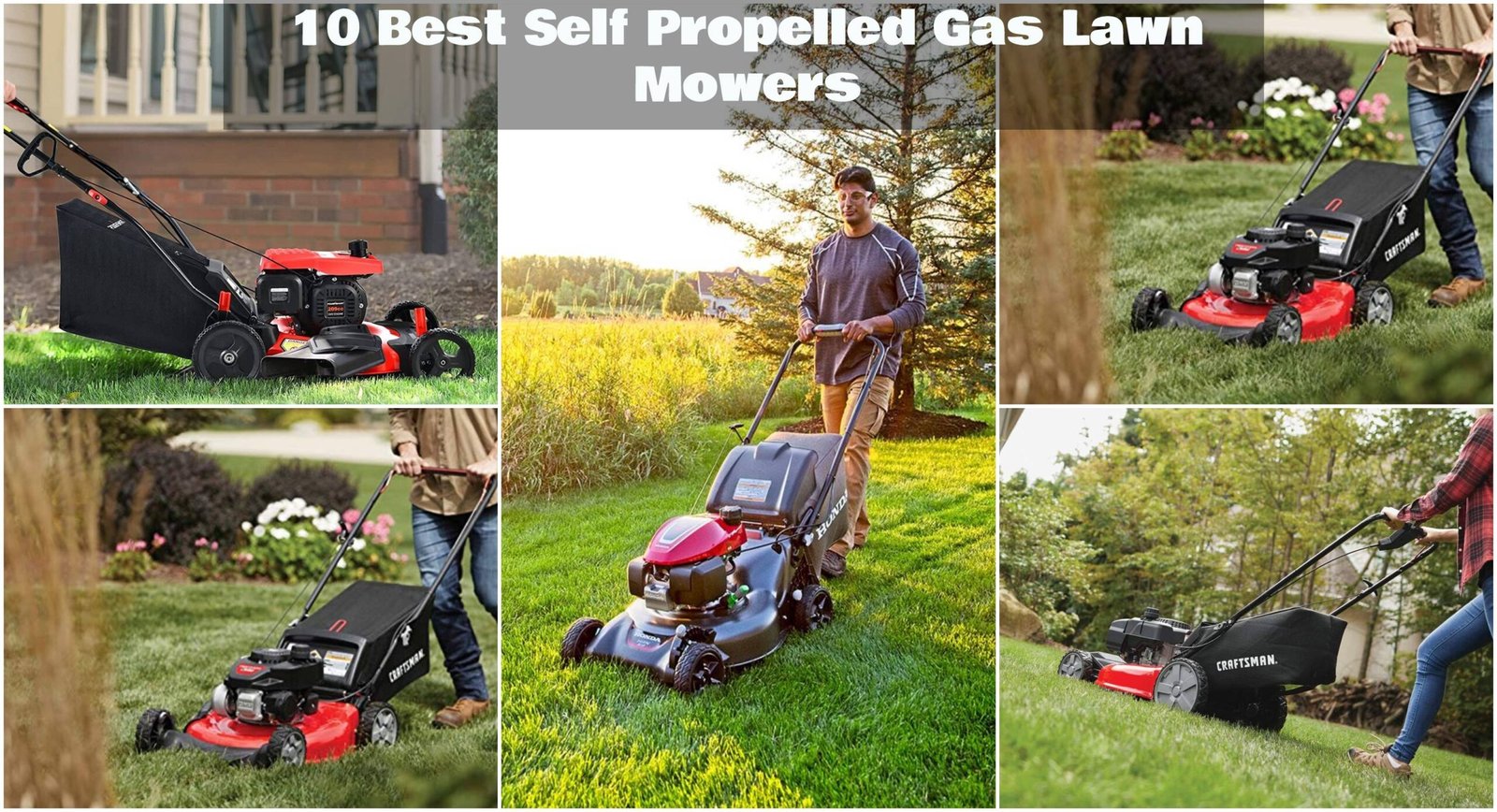 Best Self Propelled Gas Lawn Mowers