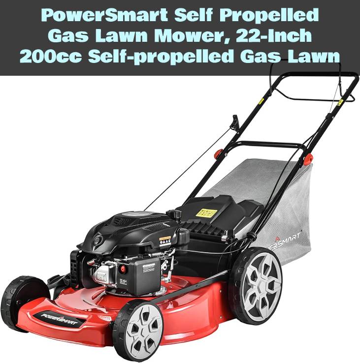 Best Self Propelled Gas Lawn Mowers