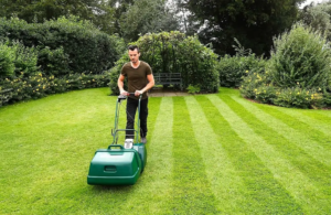 Best Self Propelled Lawn Mowers