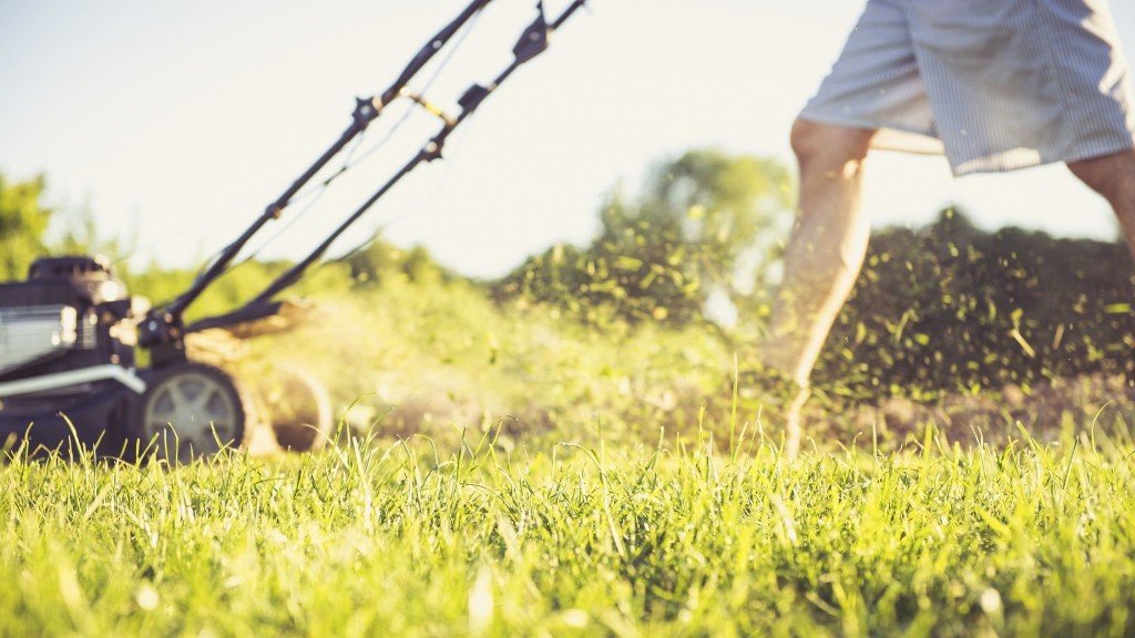 Best Time to Buy a Lawn Mower