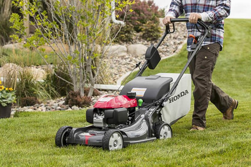 How to choose a self-propelled lawn mower