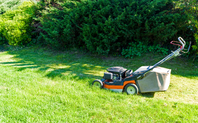 The maintenance of the self-propelled petrol lawn mower