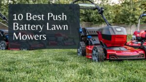 10 Best Push Battery Lawn Mowers