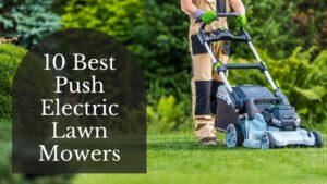 10 Best Push Electric Lawn Mowers