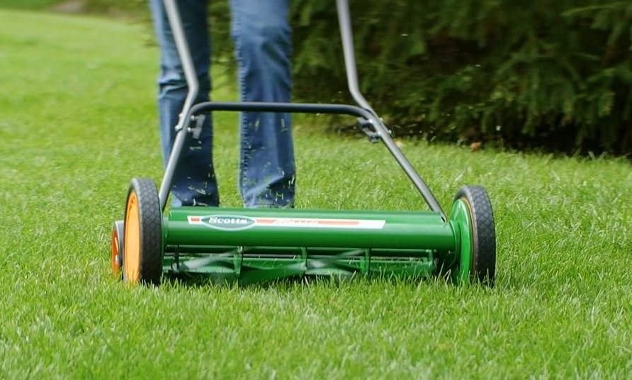 Best Reel Mowers