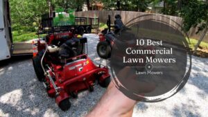 10 Best Commercial Lawn Mowers