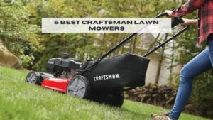 5 Best Craftsman Lawn Mowers
