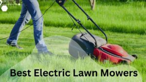 The 10 Best Electric Lawn Mowers You Can Buy