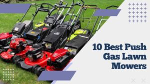 10 Best Push Gas Lawn Mowers
