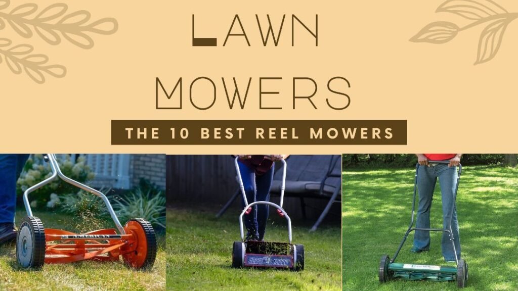 The 10 Best Reel Mowers Haute Life Hub