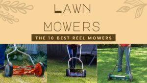 The 10 Best Reel Mowers