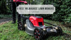 5 Best Milwaukee Lawn Mowers