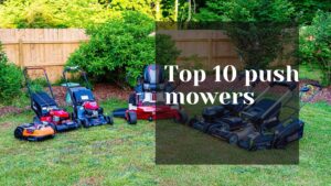 Top 10 Push Mowers for Every Type of Turf