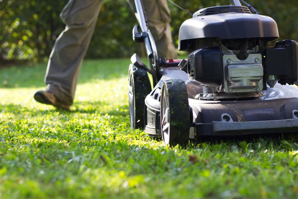 What is a Mulching Lawn Mower and How Does It Work?
