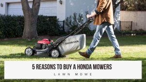 5 Reasons To Buy a Honda Mowers