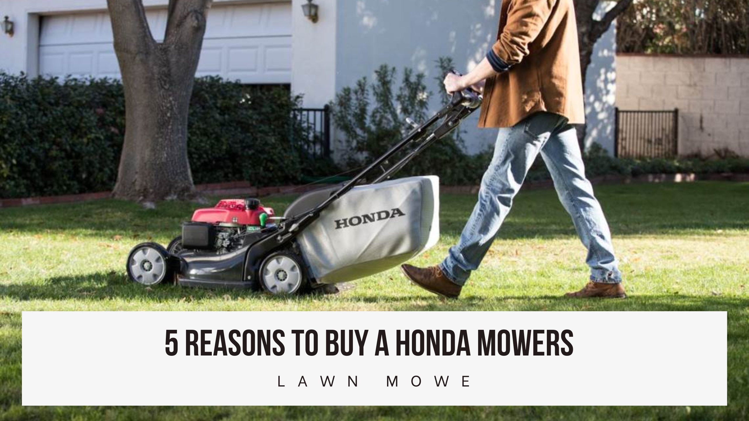 5 Reasons To Buy a Honda Mowers