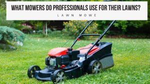What Mowers do Professionals Use For Their Lawns?