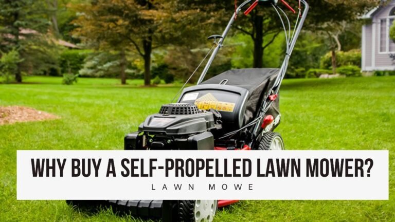 Self-Propelled Lawn Mower