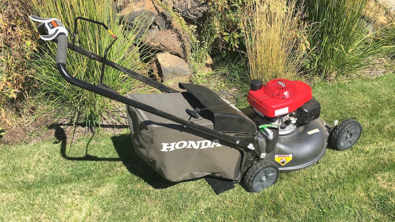 Self-Propelled Lawn Mower vs. Push Mower