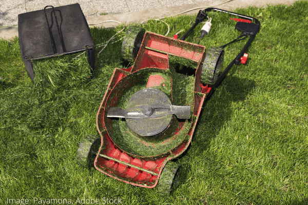 How to Clean and Maintain Lawn Mower Blades