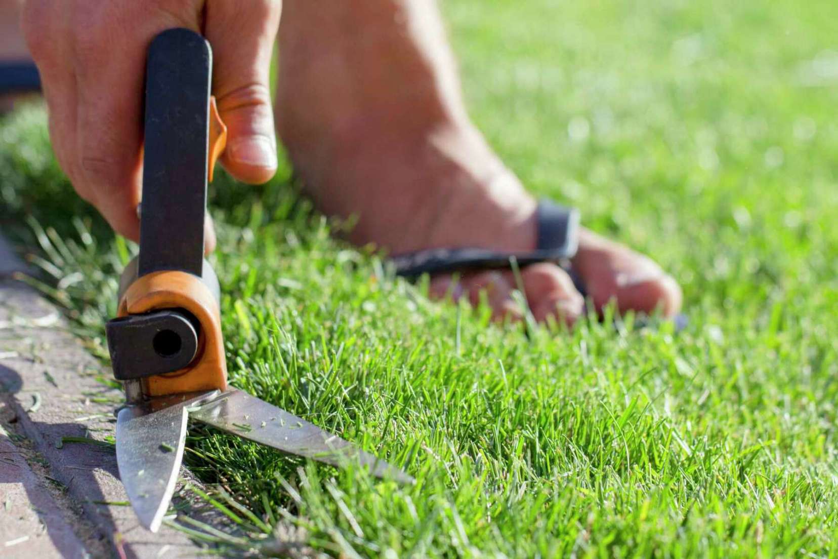 How to Tell if the Grass Is Too Tall for the Mower
