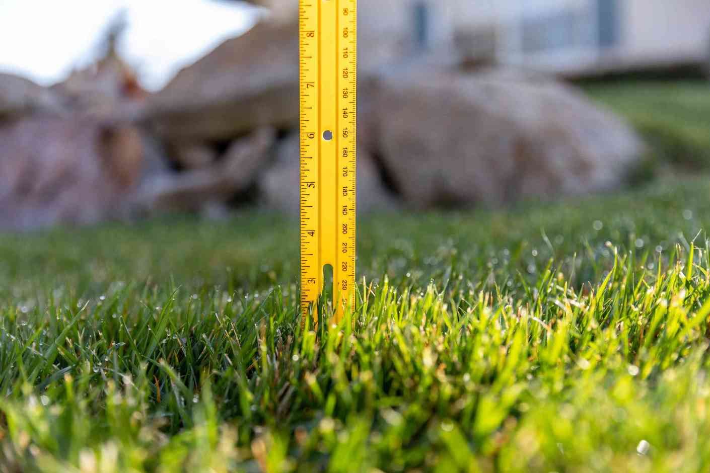 How to Tell if the Grass Is Too Tall for the Mower